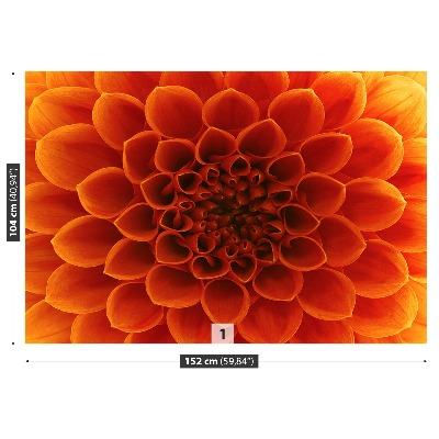 Papel de parede Flor