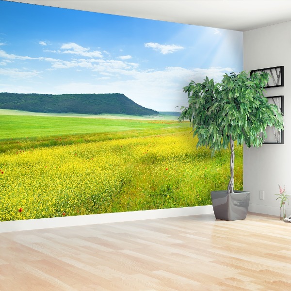 Mural de parede Prado de primavera