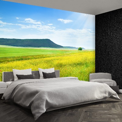 Mural de parede Prado de primavera