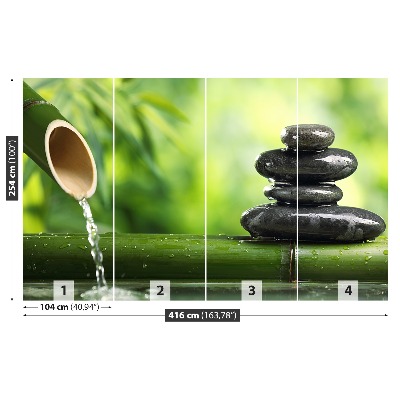 Mural de parede Fonte de bambu