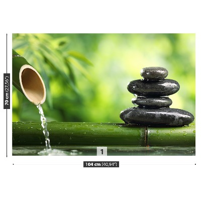 Mural de parede Fonte de bambu