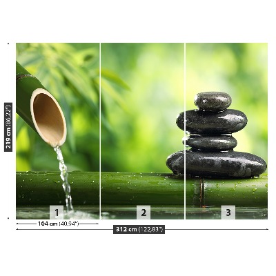 Mural de parede Fonte de bambu