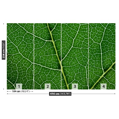 Papel de parede Folha verde