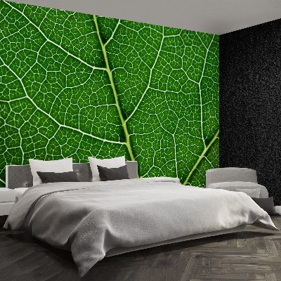 Papel de parede Folha verde