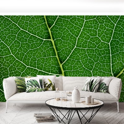 Papel de parede Folha verde