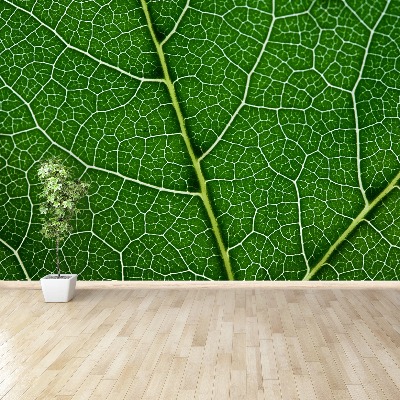 Papel de parede Folha verde