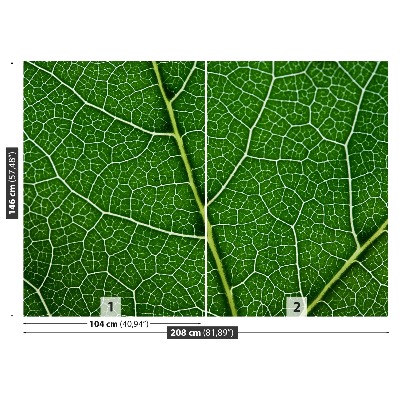 Papel de parede Folha verde