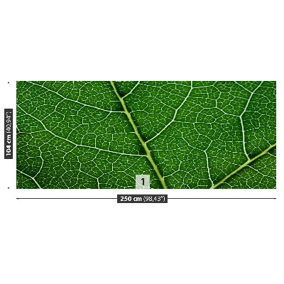 Papel de parede Folha verde