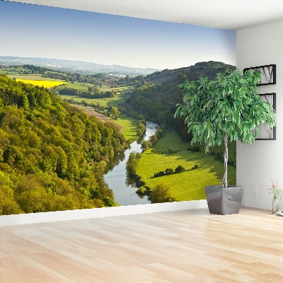 Papel de parede Rio sinuoso