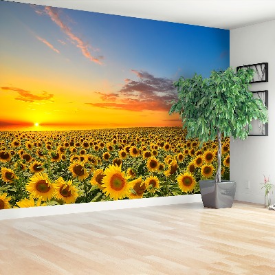 Mural de parede Um campo de girassóis