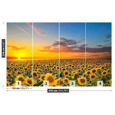 Mural de parede Um campo de girassóis