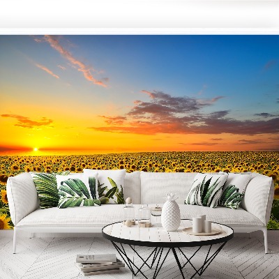 Mural de parede Um campo de girassóis