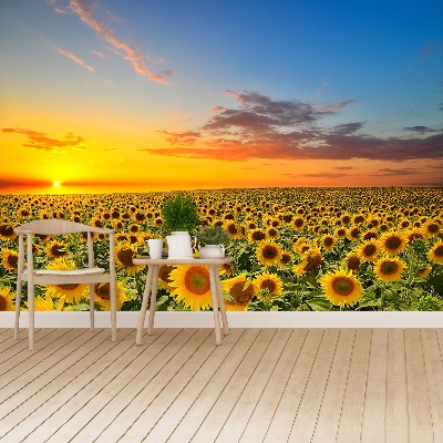 Mural de parede Um campo de girassóis
