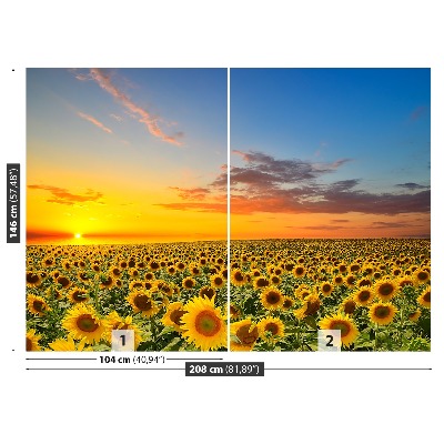 Mural de parede Um campo de girassóis