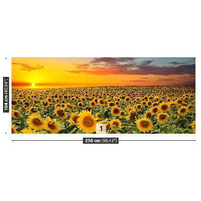Mural de parede Um campo de girassóis