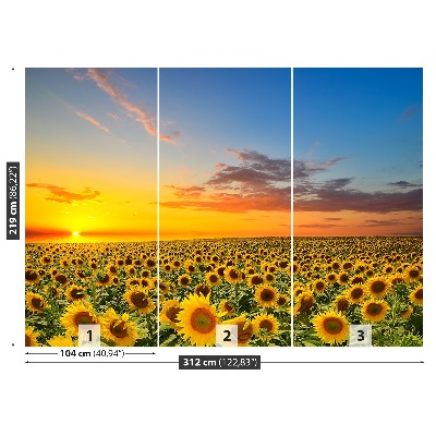 Mural de parede Um campo de girassóis