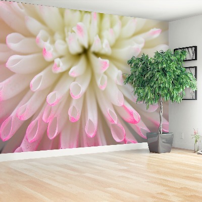 Mural de parede Áster branco