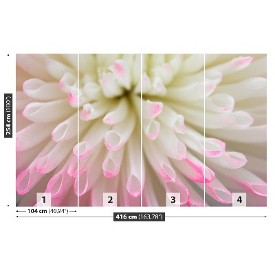 Mural de parede Áster branco