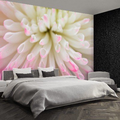 Mural de parede Áster branco