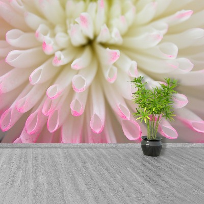 Mural de parede Áster branco