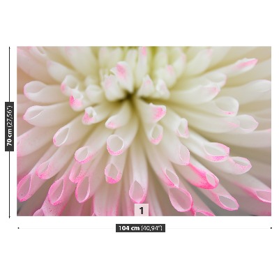 Mural de parede Áster branco