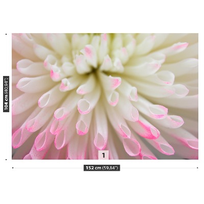 Mural de parede Áster branco