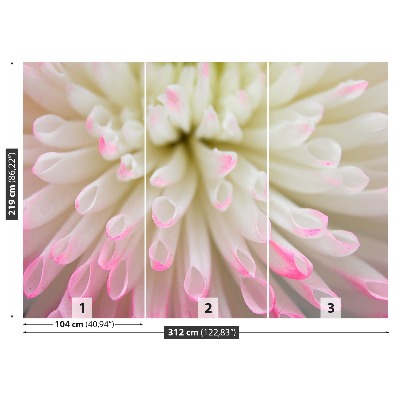 Mural de parede Áster branco