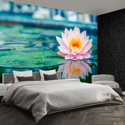 Papel de parede Lótus rosa