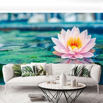 Papel de parede Lótus rosa