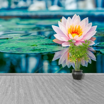 Papel de parede Lótus rosa