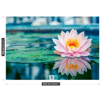 Papel de parede Lótus rosa