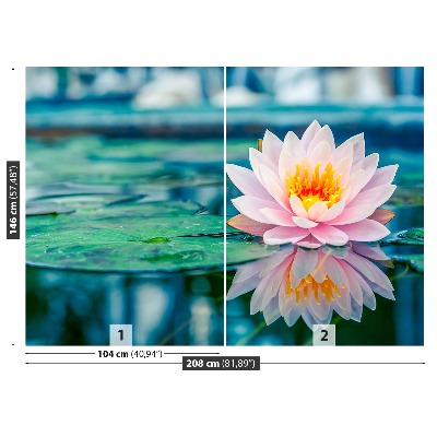 Papel de parede Lótus rosa