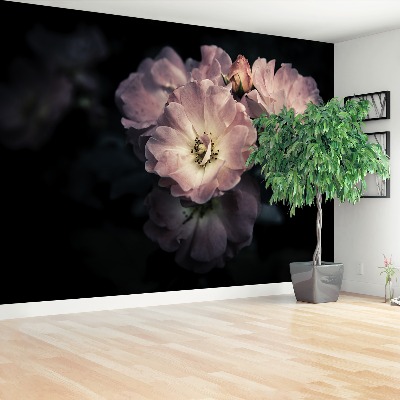 Papel de parede Rosa Rosa