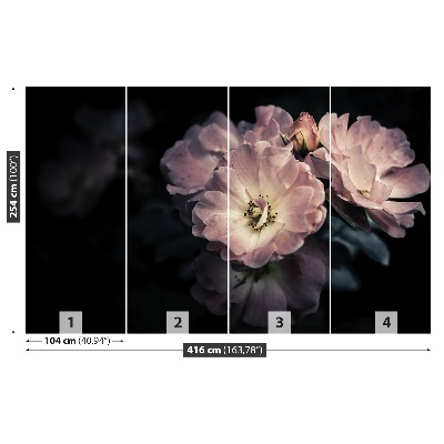 Papel de parede Rosa Rosa