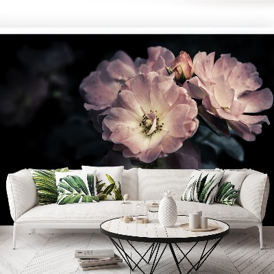 Papel de parede Rosa Rosa