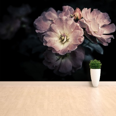 Papel de parede Rosa Rosa