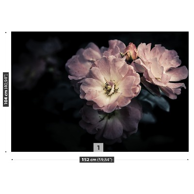 Papel de parede Rosa Rosa