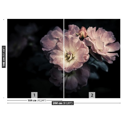 Papel de parede Rosa Rosa