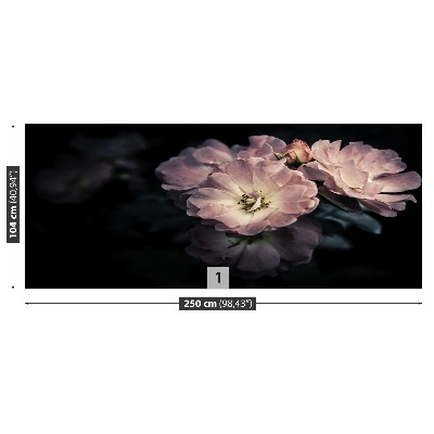 Papel de parede Rosa Rosa