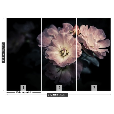 Papel de parede Rosa Rosa