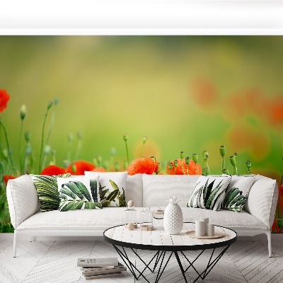 Papel de parede Flores de papoula