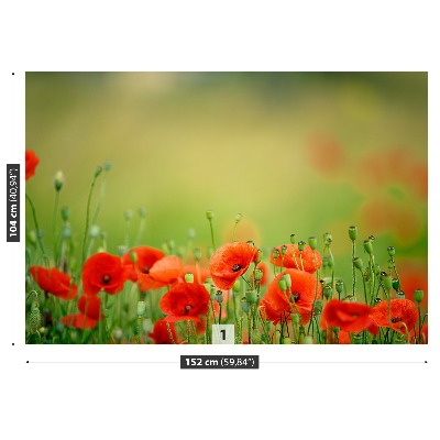 Papel de parede Flores de papoula