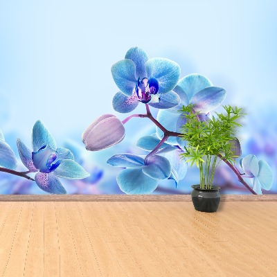 Papel de parede Orquídeas tropicais