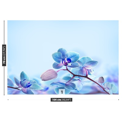 Papel de parede Orquídeas tropicais