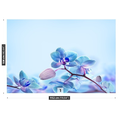 Papel de parede Orquídeas tropicais