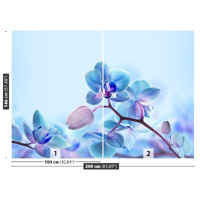 Papel de parede Orquídeas tropicais