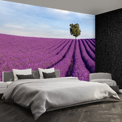 Mural de parede Campo de lavanda