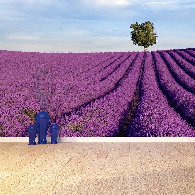 Mural de parede Campo de lavanda