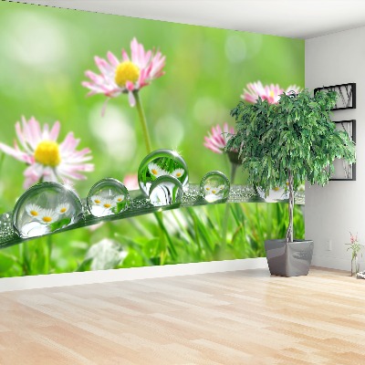 Mural de parede Margaridas Verdes