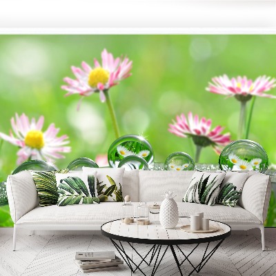 Mural de parede Margaridas Verdes